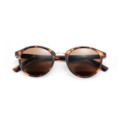 Bifocal Reading Glasses Sunglasses